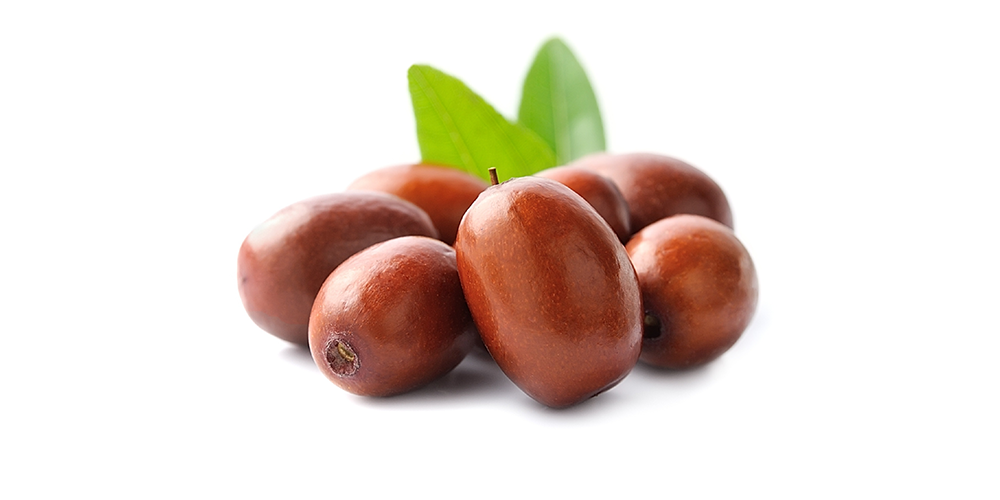 Inhaltsstoff unserer Creme: Jojobaöl